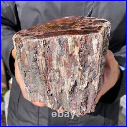 6.7LB Rare RED Natural petrified wood rough Wood fossil mineral specimen healing