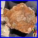 6_7LB_Rare_red_Natural_petrified_wood_rough_Wood_fossil_mineral_specimen_healing_01_gy