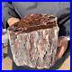 6_7lb_Rare_Natural_petrified_wood_rough_Wood_fossil_mineral_specimen_healing_01_eph