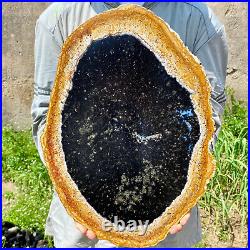 6.83LB Large Natural Petrified Wood Crystal Fossil Slice Shape Specimen Healing