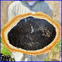 6.83LB Large Natural Petrified Wood Crystal Fossil Slice Shape Specimen Healing