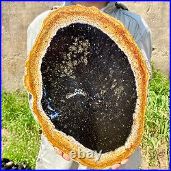 6.83LB Large Natural Petrified Wood Crystal Fossil Slice Shape Specimen Healing