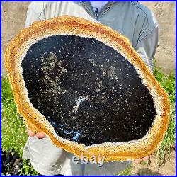 6.83LB Large Natural Petrified Wood Crystal Fossil Slice Shape Specimen Healing