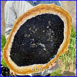 6.83LB Large Natural Petrified Wood Crystal Fossil Slice Shape Specimen Healing