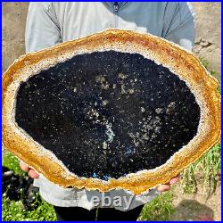 6.83LB Large Natural Petrified Wood Crystal Fossil Slice Shape Specimen Healing