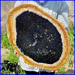 6.83LB Large Natural Petrified Wood Crystal Fossil Slice Shape Specimen Healing