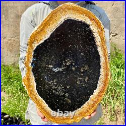 6.83LB Large Natural Petrified Wood Crystal Fossil Slice Shape Specimen Healing