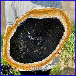 6.83LB Large Natural Petrified Wood Crystal Fossil Slice Shape Specimen Healing