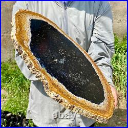 6.83LB Large Natural Petrified Wood Crystal Fossil Slice Shape Specimen Healing