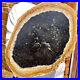 6_8LB_Large_Natural_Petrified_Wood_Crystal_Fossil_Slice_Shape_Healing_Specimen_01_jf