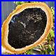 6_8LB_Large_Natural_Petrified_Wood_Crystal_Fossil_Slice_Shape_Specimen_Healing_01_anso