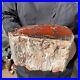 6_8LB_Rare_Natural_petrified_wood_rough_Wood_fossil_mineral_specimen_healing_01_lhzm