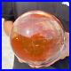 6_8lb_Natural_Petrified_Wood_Crystal_Ball_Fossil_Polished_Sphere_Specimen_01_nygs