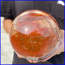 6.8lb Natural Petrified Wood fossil Quartz sphere Crystal Ball specimen Healing