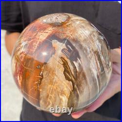 6.8lb Natural Petrified Wood fossil Quartz sphere Crystal Ball specimen Healing