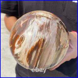 6.8lb Natural Petrified Wood fossil Quartz sphere Crystal Ball specimen Healing