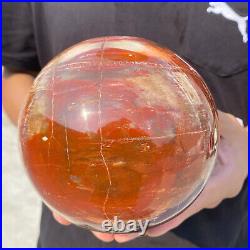 6.8lb Natural Petrified Wood fossil Quartz sphere Crystal Ball specimen Healing