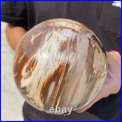 6.8lb Natural Petrified Wood fossil Quartz sphere Crystal Ball specimen Healing