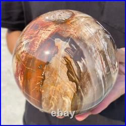 6.8lb Natural Petrified Wood fossil Quartz sphere Crystal Ball specimen Healing