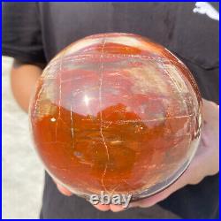 6.8lb Natural Petrified Wood fossil Quartz sphere Crystal Ball specimen Healing