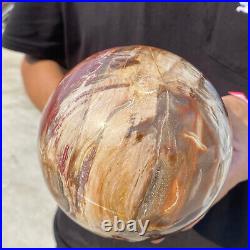 6.8lb Natural Petrified Wood fossil Quartz sphere Crystal Ball specimen Healing