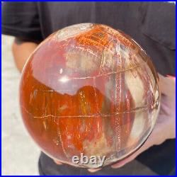 6.8lb Natural Petrified Wood fossil Quartz sphere Crystal Ball specimen Healing