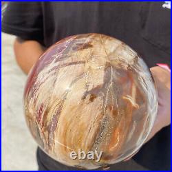 6.8lb Natural Petrified Wood fossil Quartz sphere Crystal Ball specimen Healing