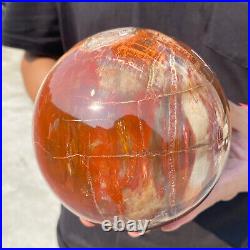 6.8lb Natural Petrified Wood fossil Quartz sphere Crystal Ball specimen Healing