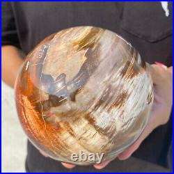 6.8lb Natural Petrified Wood fossil Quartz sphere Crystal Ball specimen Healing