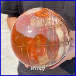 6.8lb Natural Petrified Wood fossil Quartz sphere Crystal Ball specimen Healing