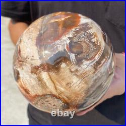 6.8lb Natural Petrified Wood fossil Quartz sphere Crystal Ball specimen Healing