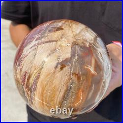 6.8lb Natural Petrified Wood fossil Quartz sphere Crystal Ball specimen Healing