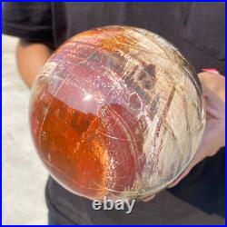 6.8lb Natural Petrified Wood fossil Quartz sphere Crystal Ball specimen Healing