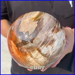 6.8lb Natural Petrified Wood fossil Quartz sphere Crystal Ball specimen Healing