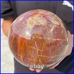 6.9lb Natural Petrified Wood Crystal Ball Fossil Polished Sphere Specimen 6.9lb Natural Petrified Wood Crystal Ball Fossil Polished Sphere Specimen