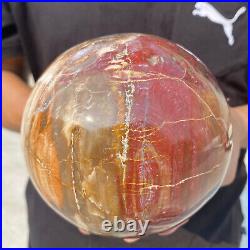 6.9lb Natural Petrified Wood Crystal Ball Fossil Polished Sphere Specimen 6.9lb Natural Petrified Wood Crystal Ball Fossil Polished Sphere Specimen