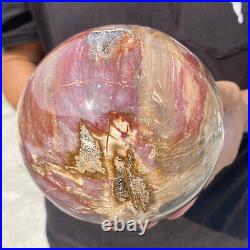 6.9lb Natural Petrified Wood Crystal Ball Fossil Polished Sphere Specimen 6.9lb Natural Petrified Wood Crystal Ball Fossil Polished Sphere Specimen
