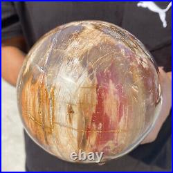 6.9lb Natural Petrified Wood Crystal Ball Fossil Polished Sphere Specimen 6.9lb Natural Petrified Wood Crystal Ball Fossil Polished Sphere Specimen