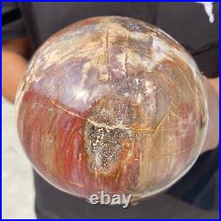 6.9lb Natural Petrified Wood Crystal Ball Fossil Polished Sphere Specimen 6.9lb Natural Petrified Wood Crystal Ball Fossil Polished Sphere Specimen