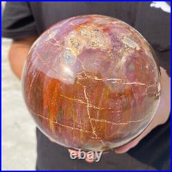 6.9lb Natural Petrified Wood Crystal Ball Fossil Polished Sphere Specimen 6.9lb Natural Petrified Wood Crystal Ball Fossil Polished Sphere Specimen
