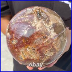 6.9lb Natural Petrified Wood Crystal Ball Fossil Polished Sphere Specimen 6.9lb Natural Petrified Wood Crystal Ball Fossil Polished Sphere Specimen