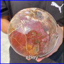 6.9lb Natural Petrified Wood Crystal Ball Fossil Polished Sphere Specimen 6.9lb Natural Petrified Wood Crystal Ball Fossil Polished Sphere Specimen