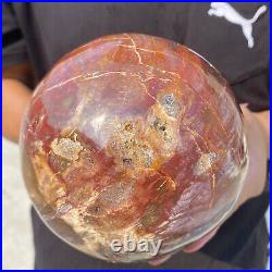 6.9lb Natural Petrified Wood Crystal Ball Fossil Polished Sphere Specimen 6.9lb Natural Petrified Wood Crystal Ball Fossil Polished Sphere Specimen
