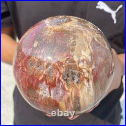 6.9lb Natural Petrified Wood Crystal Ball Fossil Polished Sphere Specimen 6.9lb Natural Petrified Wood Crystal Ball Fossil Polished Sphere Specimen