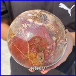 6.9lb Natural Petrified Wood Crystal Ball Fossil Polished Sphere Specimen 6.9lb Natural Petrified Wood Crystal Ball Fossil Polished Sphere Specimen