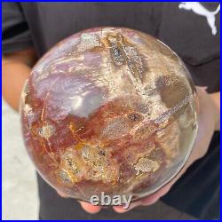 6.9lb Natural Petrified Wood Crystal Ball Fossil Polished Sphere Specimen 6.9lb Natural Petrified Wood Crystal Ball Fossil Polished Sphere Specimen