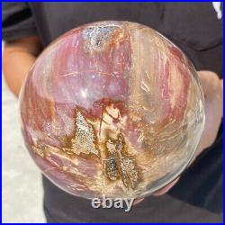 6.9lb Natural Petrified Wood Crystal Ball Fossil Polished Sphere Specimen 6.9lb Natural Petrified Wood Crystal Ball Fossil Polished Sphere Specimen