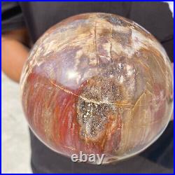 6.9lb Natural Petrified Wood Crystal Ball Fossil Polished Sphere Specimen 6.9lb Natural Petrified Wood Crystal Ball Fossil Polished Sphere Specimen