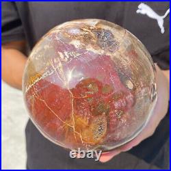 6.9lb Natural Petrified Wood Crystal Ball Fossil Polished Sphere Specimen 6.9lb Natural Petrified Wood Crystal Ball Fossil Polished Sphere Specimen