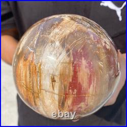 6.9lb Natural Petrified Wood Crystal Ball Fossil Polished Sphere Specimen 6.9lb Natural Petrified Wood Crystal Ball Fossil Polished Sphere Specimen